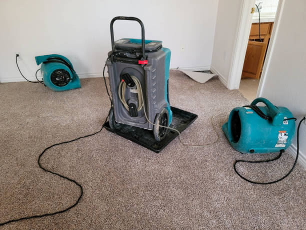 Best Ceiling water damage repair  in Le Sueur, MN