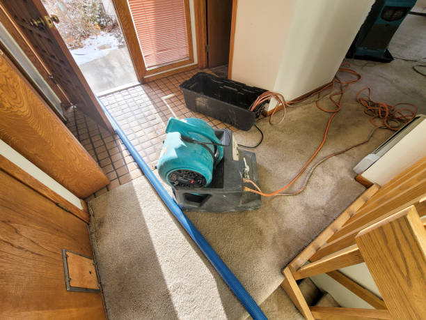 Professional Water damage restoration in MN