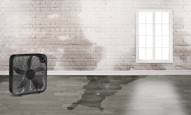 Best Fire Damage Restoration  in Le Sueur, MN