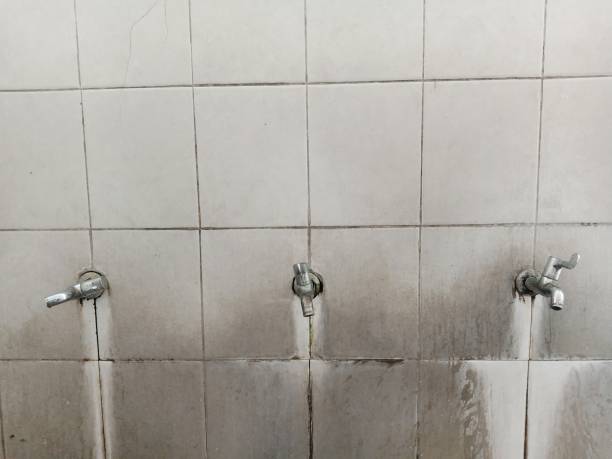 Best Sewage cleanup and water damage restoration  in Le Sueur, MN