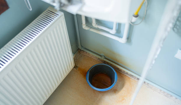 Best Residential water damage restoration  in Le Sueur, MN