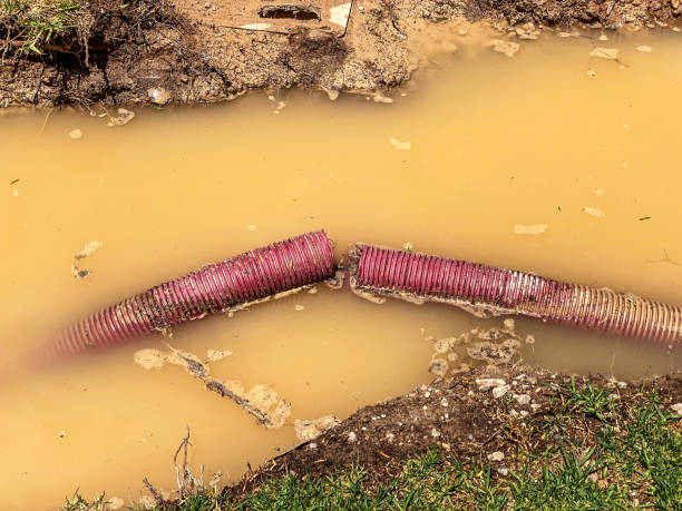 Best Water damage contractors near me  in Le Sueur, MN